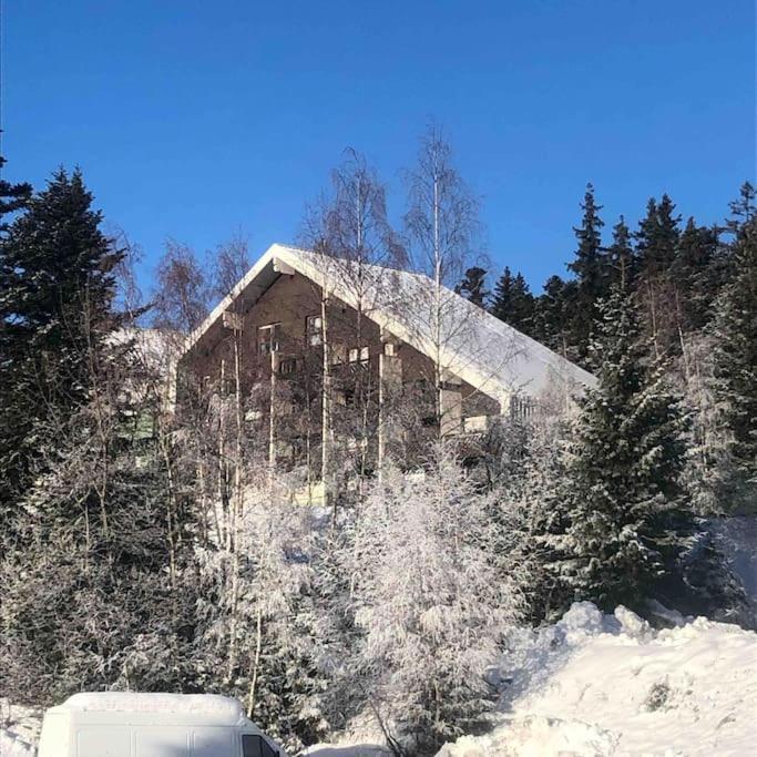 Residence Les Martinets, Grand Studio Vue Degagee, 4 Couchages, Cellier, Meuble De Tourisme 3 Etoiles, Parking Gratuit Chamrousse Exterior foto