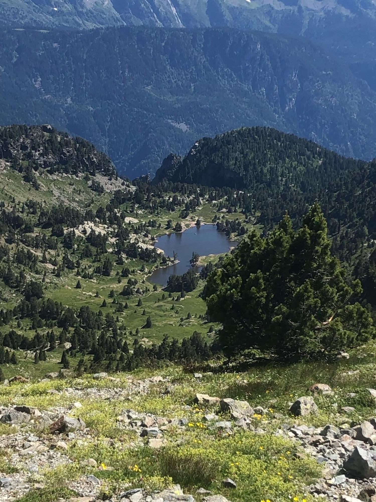 Residence Les Martinets, Grand Studio Vue Degagee, 4 Couchages, Cellier, Meuble De Tourisme 3 Etoiles, Parking Gratuit Chamrousse Exterior foto
